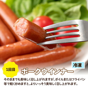 ＜定期便・計3回(隔月)＞ナンチク 加工品 セット ( Newポークウインナー / 焼き豚 / サラダハム ) 【ナンチク】i1205-B