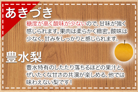 【日付指定不可】『清田果樹園』の原倉梨 期間限定 予約受付中 たっぷり約5kg 6-14玉前後《9月上旬-10月上旬頃出荷》 果汁あふれるシャキシャキ食感！新高梨 新興梨 あきづき 豊水梨 熊本県玉名郡玉東町『 
