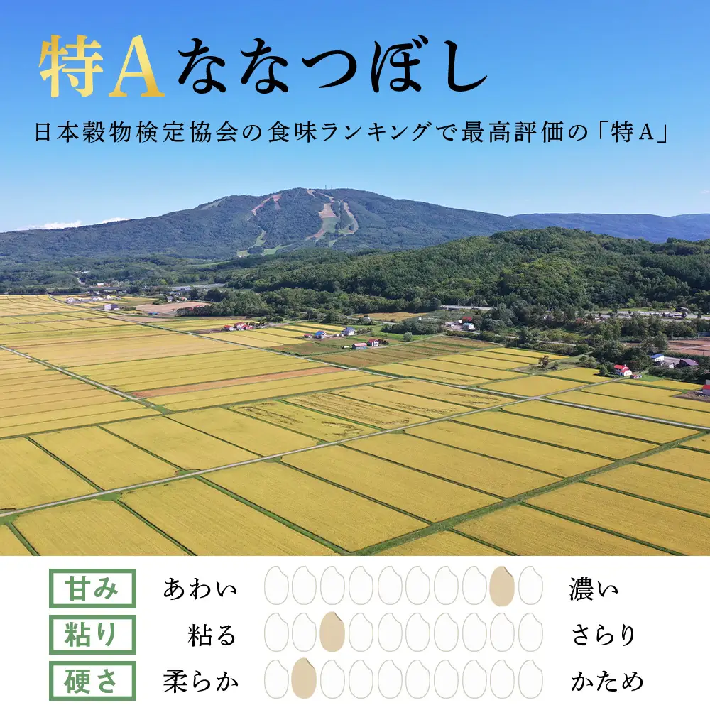 【定期便3ヶ月・上旬発送】《令和7年産》北海道産ななつぼし 10kg（通常パック5kg×2袋）