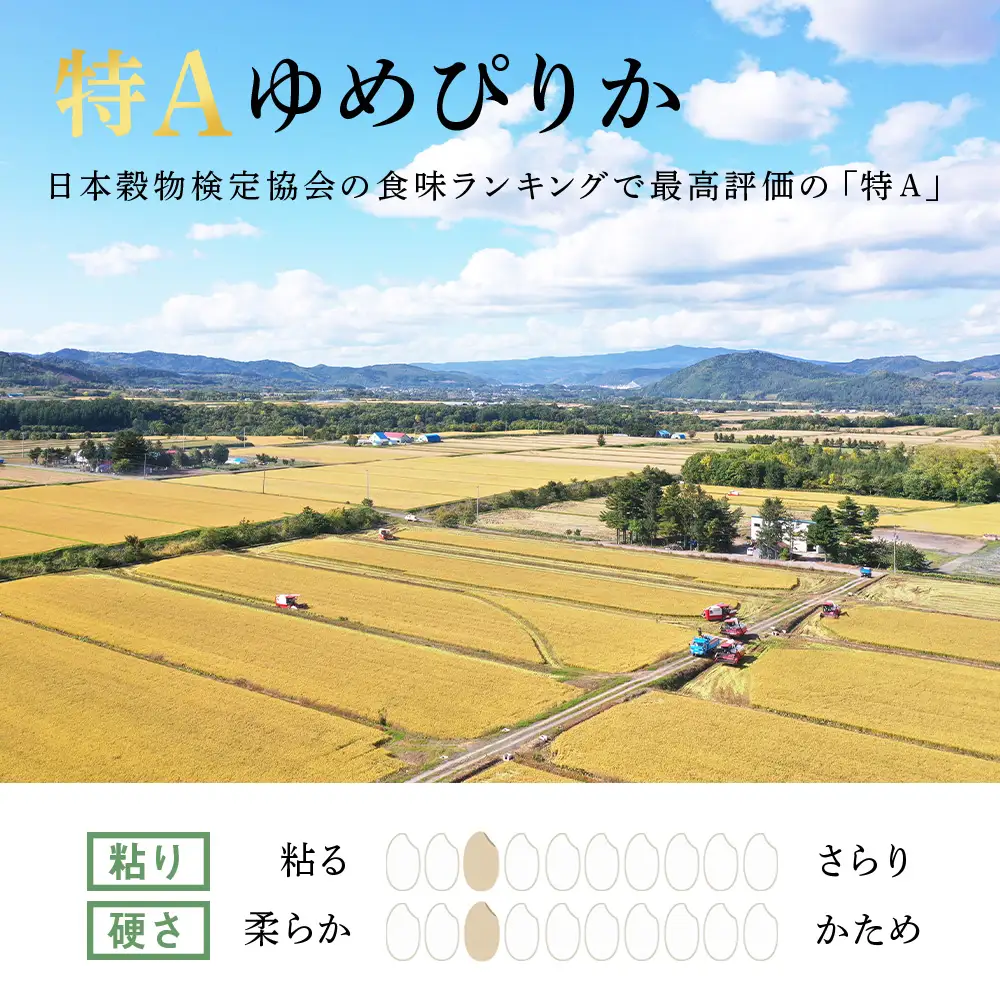 【定期便6ヶ月・中旬発送】《令和7年産》北海道産ゆめぴりか 5kg(通常パック5kg×1袋)