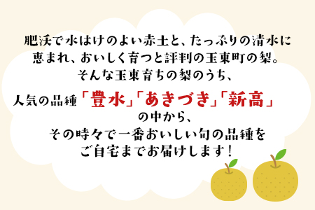 ゆみちゃん農園の玉東梨 約3kg(3～10玉前後)《2026年8月下旬-10月上旬頃出荷》 熊本県玉名郡玉東町 ｜ブランド梨 人気梨 特産品梨 熊本県梨 玉東町梨 大人気返礼品