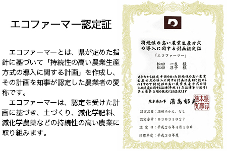 【先行予約】『松田農園』のくまもと梨 期間限定 たっぷり約5kg 8-18玉前後《7月下旬-9月末頃出荷》 予約受付中 熊本県玉名郡玉東町『松田農園』｜ブランド梨 人気梨 特産品梨 熊本県梨 玉東町梨 大人気返礼品