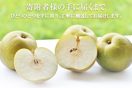 『上田農園』の玉東梨 期間限定 予約受付中 たっぷり約5kg 6-16玉前後《8月中旬-10月上旬頃出荷》 熊本県玉名郡玉東町『上田農園』｜ブランド梨 人気梨 特産品梨 熊本県梨 玉東町梨 大人気返礼品