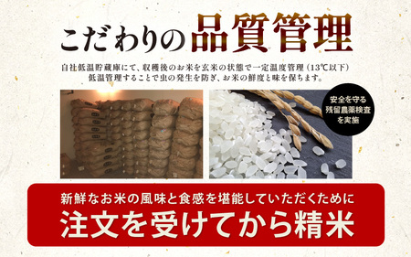 【先行予約】【令和8年産・新米】 定期便 ≪12ヶ月連続お届け≫ 坂井市産 にじのきらめき 白米 10kg (5kg×2袋)×12回 計120kg (田中農園) 【2026年10月以降順次発送予定】 【米 こめ お米 精米 ブランド米 国産】 [O-20501]