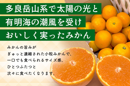 【先行予約】【発送は2026年10月中旬から11月上旬ごろ】やーらしかみかん”プレミアム”約2kg（箱込み重量）｜【数量限定】小粒サイズ ご家庭用｜一口で食べられる濃縮旨み ｜生産者直送 国産 佐賀県産 ミカン 蜜柑 果物 フルーツ 送料無料 A-224