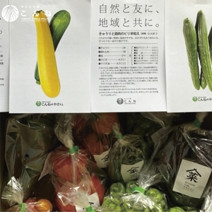 【予約：2026年7月下旬から順次発送】こんねの旬の野菜詰め合わせセット 夏BOX 7〜8月 ( 野菜 やさい セット 詰め合わせ 野菜セット 旬 新鮮 )【202-0003】