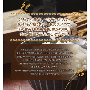 令和7年 鳥取県産 山崎農園こしひかり無洗米5kg