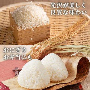 ≪令和7年産≫【白米】【食味鑑定士厳選】福岡県産 夢つくし(計15kg・5kg×3袋) 白米 米 お米 おこめ ごはん ゆめつくし ご飯 常温 福岡県産 ブランド米 常温 常温保存 【ファインリョーコク】as34-007
