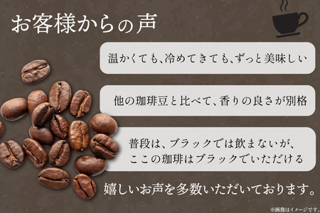 コーヒー 豆 焚火珈琲 中煎 100g 2袋 計200g チャック付き袋使用 TAKIBIBA[R] [長崎県 東彼杵町 hs42bdt230004] 
