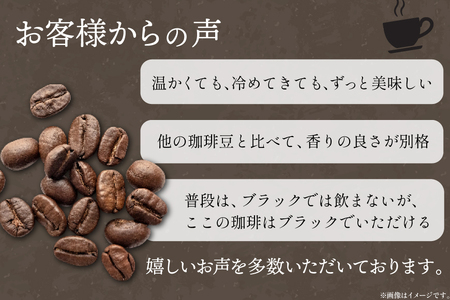 コーヒー ドリップ 焚火珈琲 深煎 10g 10個 セット ドリップバッグ TAKIBIBA[R] [長崎県 東彼杵町 hs42bdt230002]