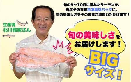 勝山 やまのサーモン 半身 冷凍  ※600～799ｇ以上×3枚 [D-050003]