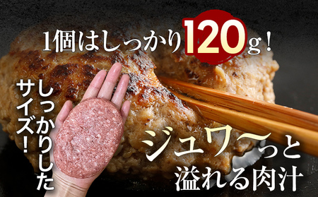 ハンバーグ 佐賀牛入り  120g 8個 生ハンバーグ