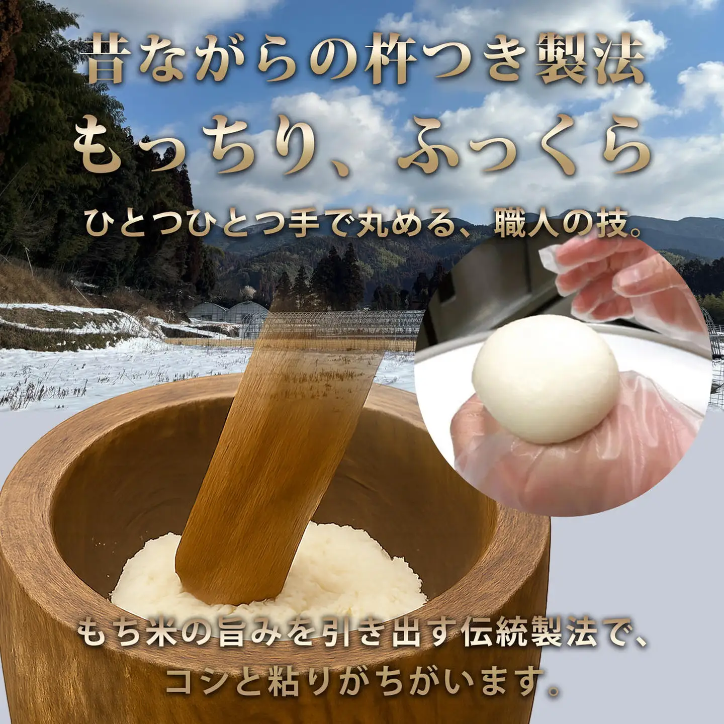 お正月用杵つき丸餅8P：B120-066