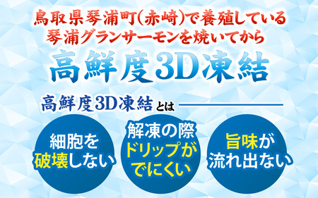 【訳あり】 国産 とっとり 琴浦グランサーモン 焼いときました 焼魚 6切 （焼き上がり350g前後） 塩焼き 個包装 レンチン
