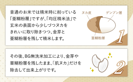 金芽米 定期便10kg×6回 金芽米