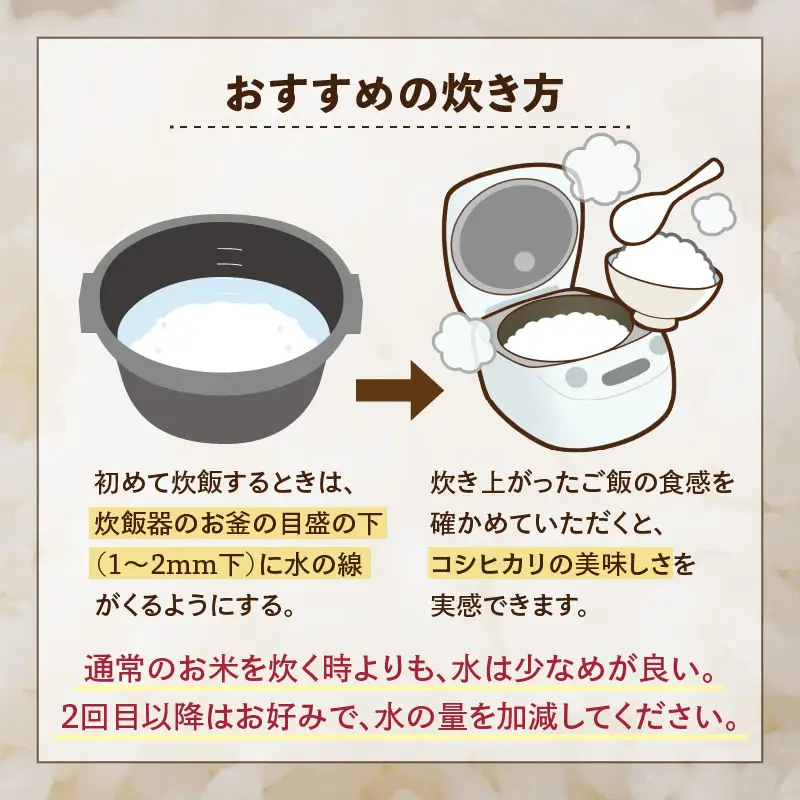 【令和7年産】コシヒカリ 精米 10kg×1袋 《お米マイスターが発送直前に精米！》／ 米 お米 10キロ 福井県産 ブランド米 ご飯 白米 新鮮 [aw064-b009]
