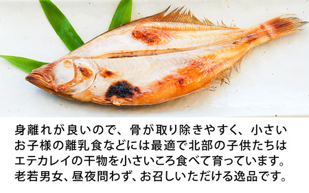 山陰名産 エテカレイ 一夜干し 食べやすいサイズ 5枚 / カレイ 干物