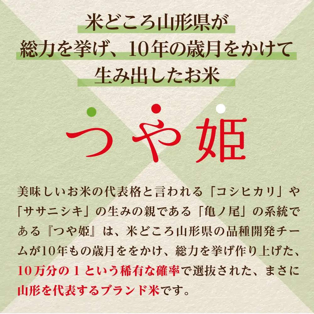 つや姫 米 10kg 特別栽培 令和7年産 7月前半発送 つや姫 米