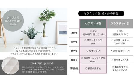 植木鉢 Φ25 crescere クレッシェル 選べるカラー セラミック 約 8号 フラワーポット プランター 鉢 受け皿 大型 観葉植物 おしゃれ くすみカラー ガーデニング用品 ガーデニング 園芸 インテリア 兵庫 兵庫県 小野市 ブルージュ
