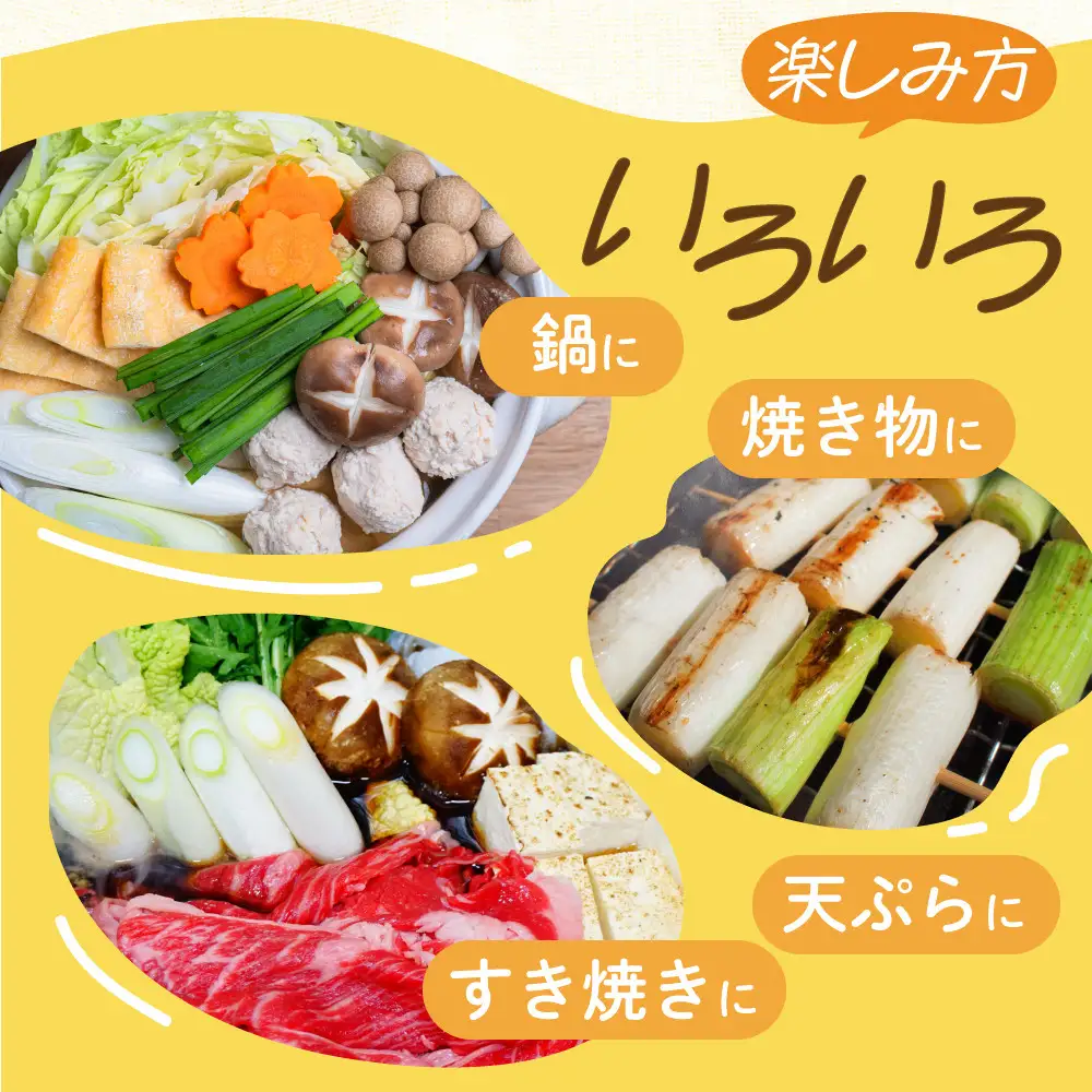 ＜先行予約＞ くろまる農園　富山の白ネギ（泥付き）3キロ