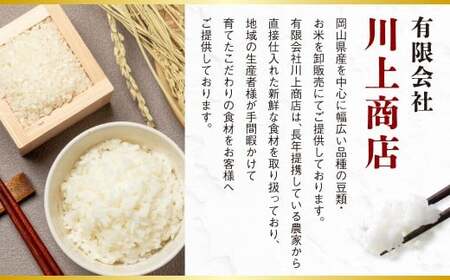 【令和7年産】あきたこまち 10kg（5kg×2袋） 米 コメ こめ お米 白米 精米 ごはん ご飯 岡山県 倉敷市
