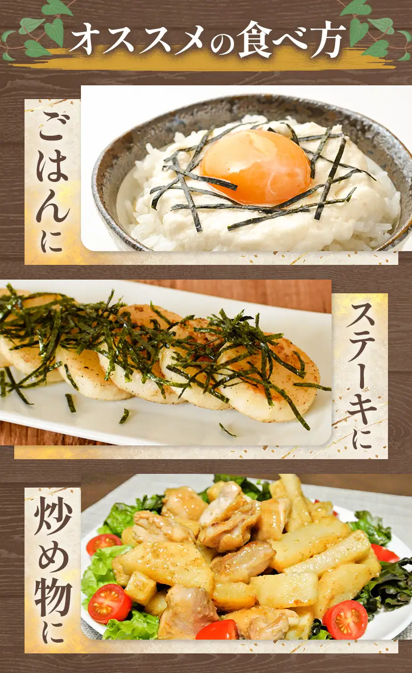 2026年 先行予約【訳あり】十勝豊頃産 ながいも 8kg 植村農場 《12月上旬頃から出荷》