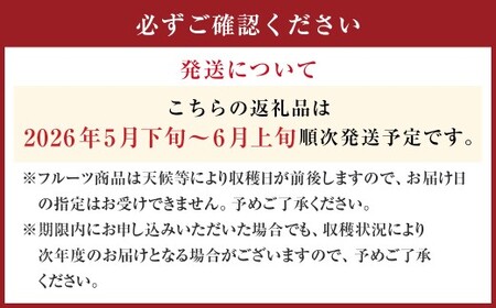 愛媛県産 河内晩柑 4kg（12～14個） 晩柑 果物 フルーツ 【2026年5月下旬～6月上旬発送予定】（873）