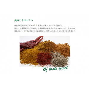 甲子園カレー＜甘口・中辛・辛口＞×2箱4食入　計6箱セット12食入 【カレー】