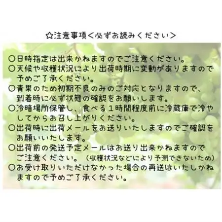 【2026年発送】山梨県山梨市産 朝採れ シャインマスカット 2.0kg (3～4房)【配送不可地域：離島・沖縄県】【1691269】