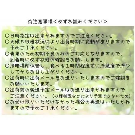 【2026年発送】山梨県山梨市産 朝採れ シャインマスカット 3.0kg (5～6房)【配送不可地域：離島・沖縄県】【1691274】