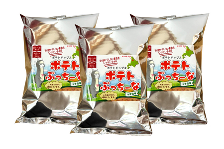 ポテトチップス ポテトぷっちーな 100g×3袋 計300g [レークサイド桜岡 北海道 剣淵町 14656353] 