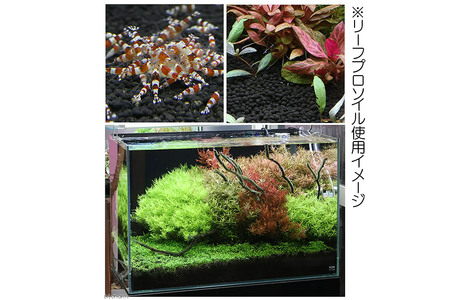 ソイル 魚が簡単に飼える リーフプロソイル pHダウン 8L×3袋 pH4.5～5.5 吸着ソイル 株式会社チャーム charm