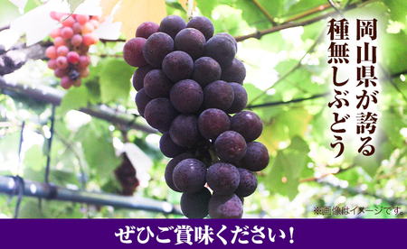 岡山県産ニューピオーネ 3房【配送不可地域あり】ピオーネ
