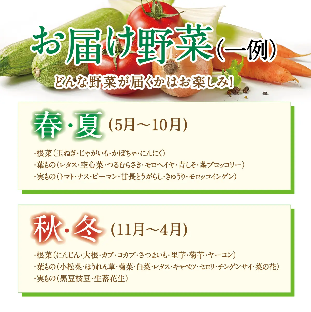【大阪能勢産】 《農家直送》 べじたぶるぱーくの旬の新鮮野菜詰合せ Lセット (10種類) | べじたぶるぱーく野菜詰め合わせ 野菜 農薬・化学肥料不使用 新鮮 産地直送 季節 旬 | 大阪府 能勢町 送料無料