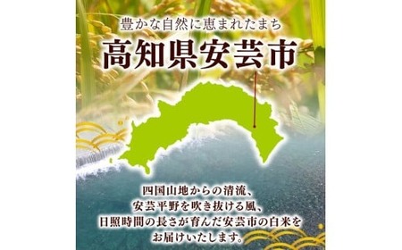 【令和8年産】 米 定期便 5kg×6回 コシヒカリ 米 AG014