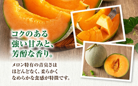 【先行予約】 赤肉メロン 大玉1玉 [AJAH028] メロン
