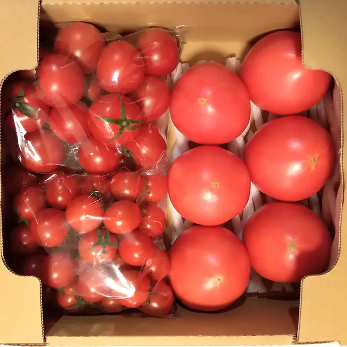 トマト いろいろ詰合せセット 1.8kg入り箱 ／ とまと 野菜 新鮮 完熟 ミニ 中玉 大玉 3種類 詰め合わせ セット 食べ比べ 産地直送 農家直送 サラダ 行田市産 埼玉県 特産 No.508