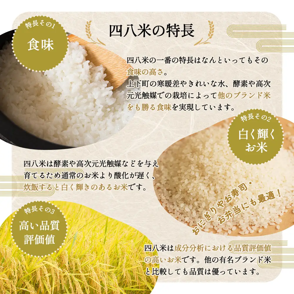 四八米 こしひかり 酵素プレミアム 【ギフト】2合×5個入 1.5kg ／ お米 米 こめ 精米 白米 1.5キロ 国産 産地直送 産直 お取り寄せ 希少 最高品質 贈答用 最上級 甘み 旨み 人気 おすすめ 広島県 No.1171