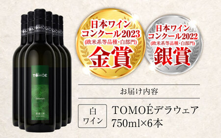 ワイン TOMOE デラウェア 白 やや辛口 750ml×6本 受賞 [APAZ091] 白ワイン