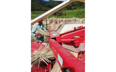 【無農薬・化学肥料不使用】大地の恵みをたっぷり受けた うるち米　ヒノヒカリ（玄米）5kg