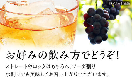 【全3回定期便】果実酒 ピオーネの雫 500ml×1本 リキュール 甘口 [APAZ120]