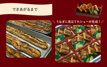 うなシューケーキ　見た目は「うな重」実は「スイーツ」 [A-200001] / ティラミス ウナギ うな重 そっくり スイーツ ケーキ 手作り