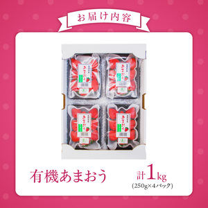 有機あまおう250g×4パック _ 有機 あまおう 250g 4パック 計 1000g オーガニック いちご ストロベリー 特別栽培 認証 アフター保証付き 安心 安全 やさしい甘み 香り ジューシー 果物 果汁 フルーツ スイーツ デザート 冷蔵 お取り寄せ 福岡県 久留米市 送料無料  〔Fi078〕