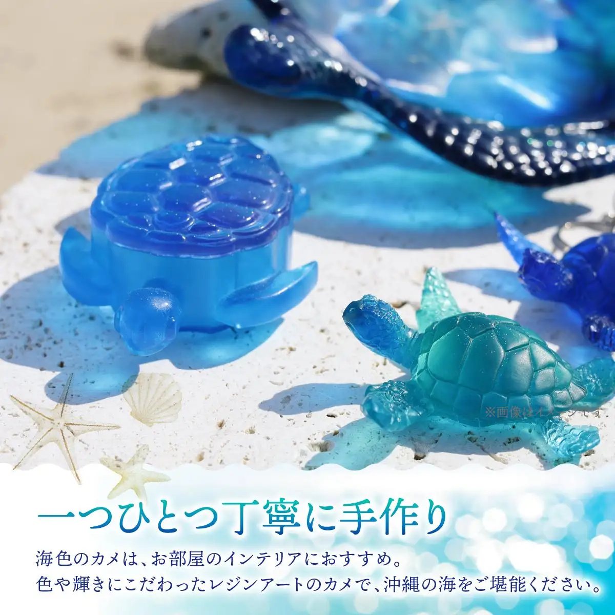 カメボックス[DP21]   