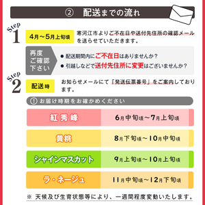 《先行予約》特秀品Bコース【定期便4回】フルーツ定期便 さくらんぼ 紅秀峰 黄桃  シャインマスカット 洋梨 ラネージュ 令和8年産 山形県産【2026年6月中旬頃から発送開始予定】※配送不可 沖縄・離島　078-B-AF029