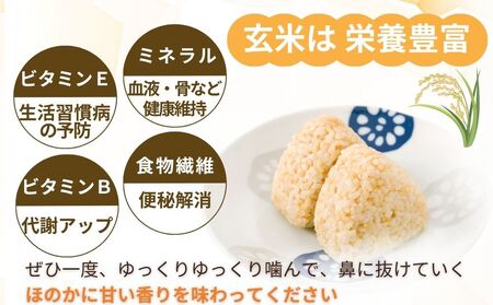 【定期便3回】ひとめぼれ 低農薬栽培＜令和7年産 玄米 2kg ＞ / ふるさと納税 低農薬 米 お米 こめ コメ 国産 新米 玄米 一等米 農家やまおか 奈良県 宇陀市陀市 ふるさと納税