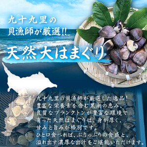 訳あり はまぐり 規格外 大はまぐり 4パック 計 1.6kg 貝 海鮮 魚介 海の幸 ハマグリ 蛤 海産物 国産 天然 産地直送 千葉県 九十九里 九十九里浜