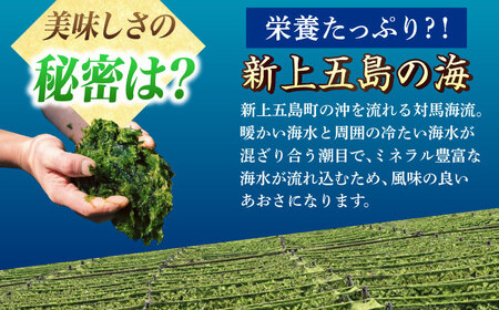 五島列島産あおさ 10ｇ×3袋 スピード発送 最短発送[RCS001]