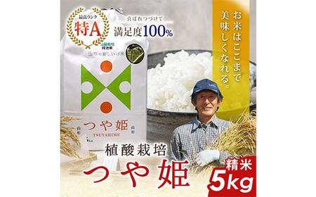 植酸栽培米つや姫（精米）5kg F2Y-4409