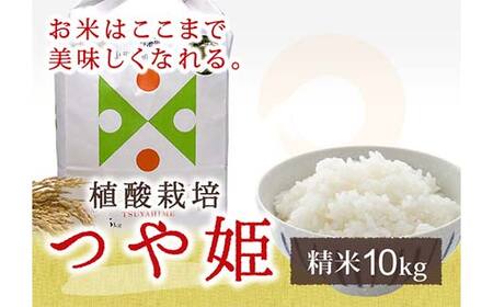 植酸栽培米つや姫（精米）10kg F2Y-4410